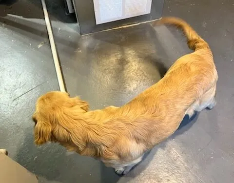 Lennox® - Feel The Love©